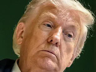 NATO's Afghanistan Directive Leaves Public Bearing Heavy Casualty Burden