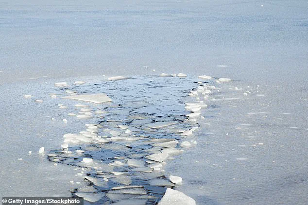 Westphalia Township Tragedy: Five-Year-Old and Grandfather Die in UTV Pond Crash