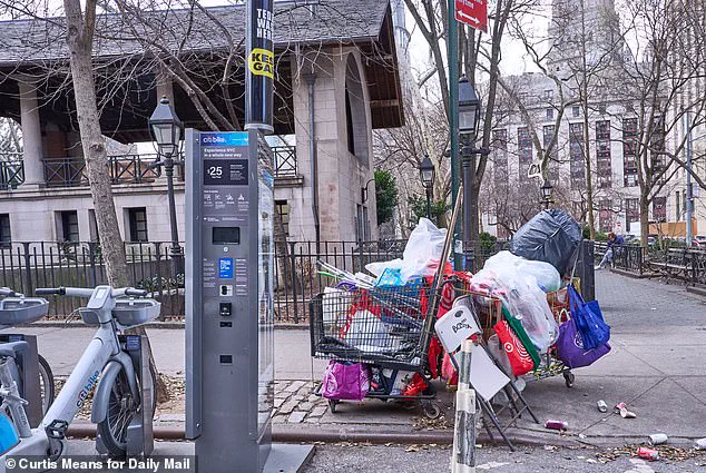 Zohran Mamdani's Homelessness Policy Faces Immediate Challenges as Encampments Reemerge in NYC