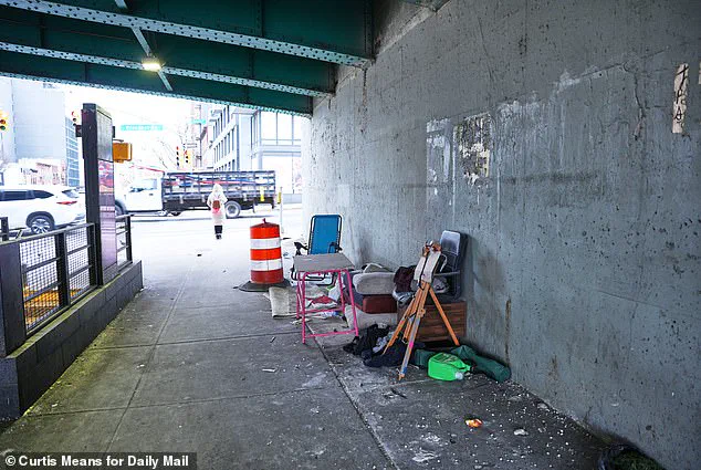 Zohran Mamdani's Homelessness Policy Faces Immediate Challenges as Encampments Reemerge in NYC