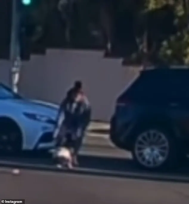 Toddler Pulled From Moving Car in Fullerton, California: Incident Captured on Video Shared Widely