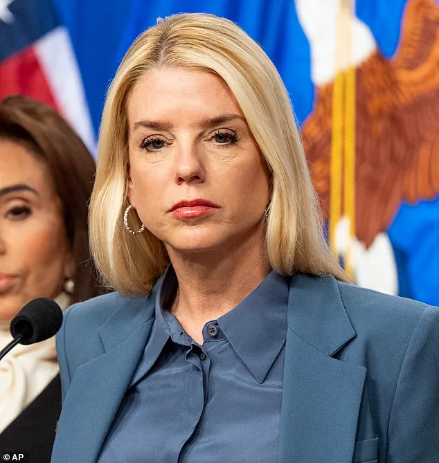 Exclusive Access: Somali Woman Arrested in Minneapolis After Controversial Press Conference Claims Kidnapping by Immigration Officials