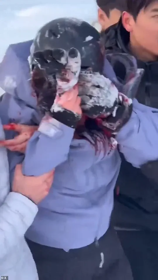 Exclusive Access to the Shocking Moment: Snow Leopard's Fatal Encounter with a Tourist