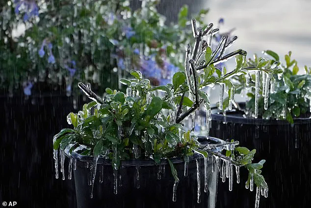 US Braces for Extreme Cold as Bomb Cyclone Sparks Widespread Weather Warnings