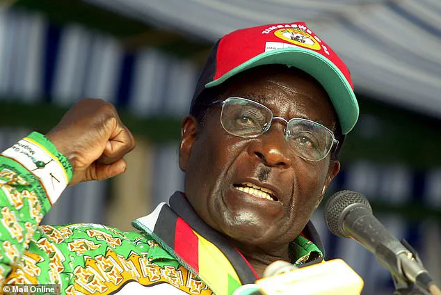 Epstein, Putin, Mugabe: FBI and DOJ Documents Reveal Secret Wealth Management Ties