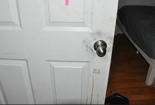 Idaho Murders: Unresolved Motives and the Impact of a Plea Deal