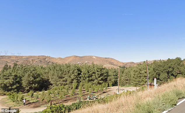 Gold Oak Ranch: Disney's Hidden Treasure for Film and Future Amusement Parks