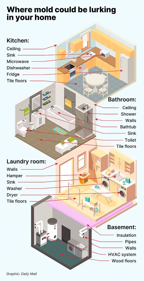 Misdiagnosed for Years, Dismissed as Gas: Young Mother's Shocking Kidney Cancer Diagnosis