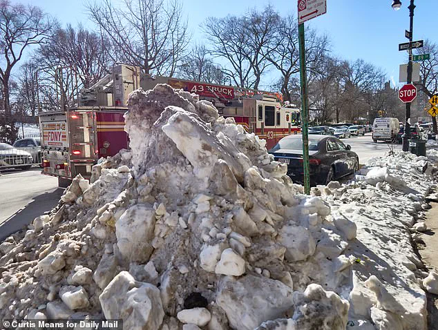 New York's Winter Storm Chaos: Residents Frustrated as Gracie Mansion Remains Unscathed