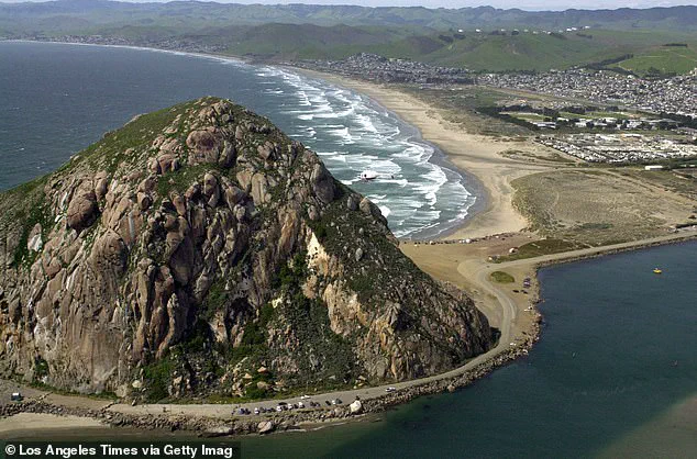 Alleged Drowning Attack by Paddleboarder Sparks Legal Battle in Morro Bay
