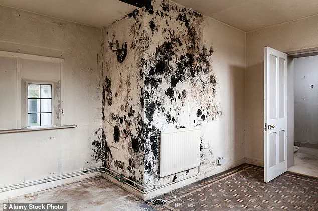 Childhood Exposure to Toxic Mould Linked to Persistent Lung Issues in Adolescence, University of Bristol Study Reveals