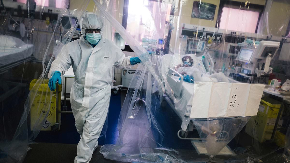 New Pandemic Threats Emerge: Little-Known Viruses and the Looming Crisis