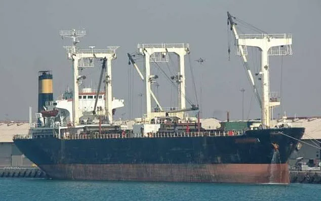 Pralav Dhyani's 2010 Ordeal Highlights Human Cost of Somali Piracy and Urgent Need for Global Action