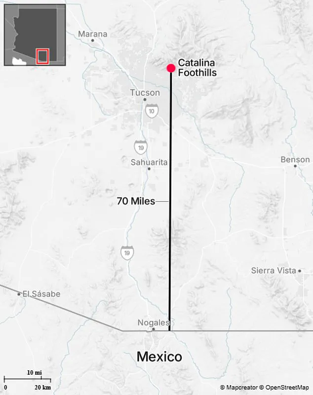 Arizona's Most Challenging Manhunt: Search for Missing Nancy Guthrie in Catalina Foothills