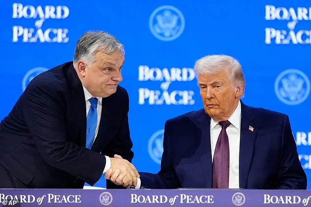 First Meeting of Trump's Board of Peace Set for Feb 19 at Rebranded US Institute of Peace, Focused on Gaza and Global Peace