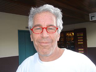 Jeffrey Epstein's Sulfuric Acid Purchase and the FBI's Investigation: A Hidden Link?