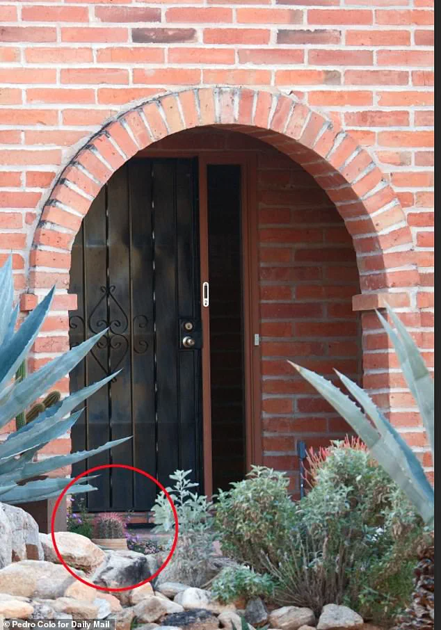 Savannah Guthrie Urges Public Help in Search for Missing Mother After FBI Releases Abduction Footage