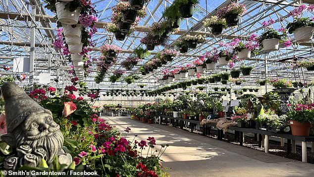 Viral Video of Sylvester, the Rat-Catching Cat, Turns Texas Garden Center into Internet Sensation