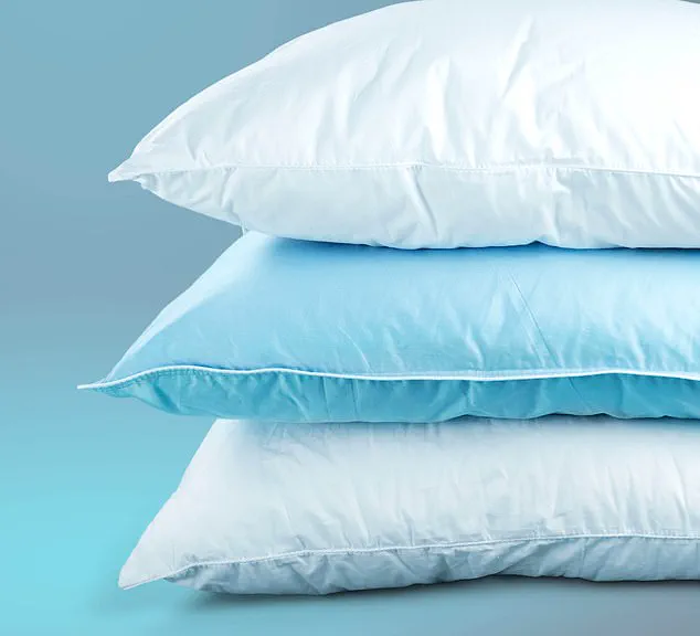 Your Bed's Hidden Biome: How Bacteria and Mites Could Be Harming Your Health and Sleep