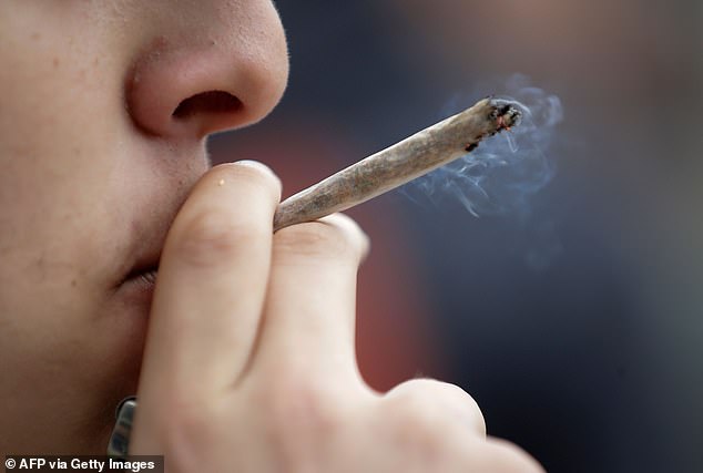 Moderate Cannabis Use Linked to Increased Brain Volume in Memory Regions, Study Suggests