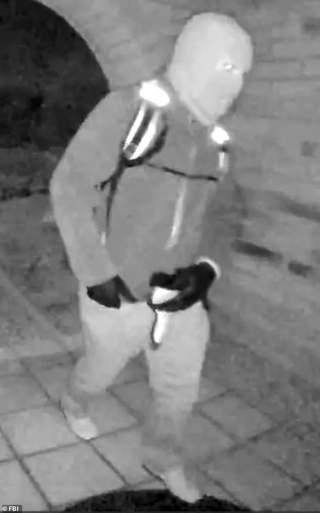 Footage Shows Man with Similar Backpack to Nancy Guthrie's Captor on Day She Vanishes