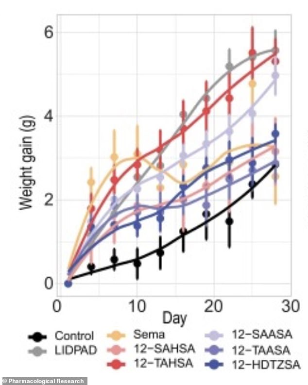 Revolutionary Gut-Targeted Drug Offers New Approach to Weight Loss by Blocking Fat Absorption
