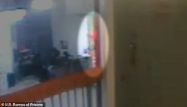 Jeffrey Epstein's Death Reveals Systemic Failures in Government Oversight and Institutional Accountability