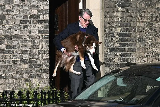 Lord Peter Mandelson's Public Appearance Sparks Scrutiny Over Epstein Ties Amid Ongoing Investigation