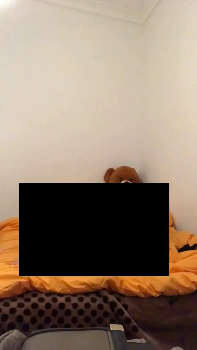 DOJ Releases Harrowing Files: Jeffrey Epstein's Explicit Videos and the Disturbing Teddy Bear Motif