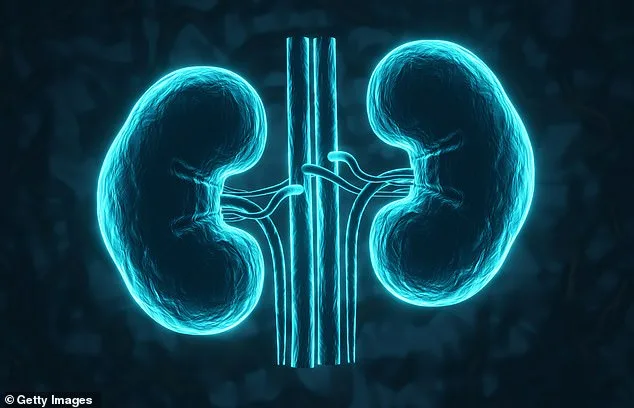 New Study Identifies Critical Periods in Aging Around Ages 44 and 60