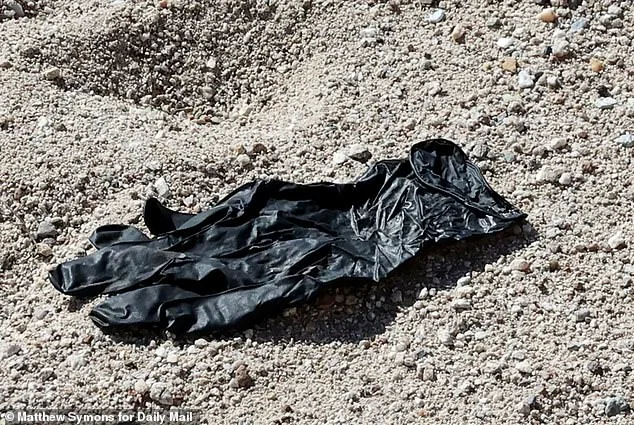 DNA on Glove Links Suspect to Nancy Guthrie's Disappearance, FBI Says