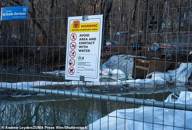 Trump Blames Maryland Democrats as White House Mobilizes FEMA for Potomac River Disaster