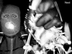 Trump's Death Penalty Threat Sparks Debate as FBI Pursues Clues in Nancy Guthrie's Disappearance