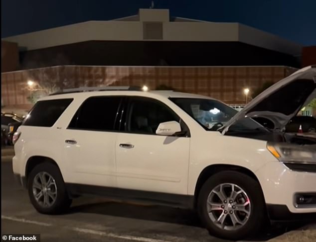 Groundhog Causes $4,900 in Damage to Student's SUV, Leaving Family and Insurance Provider Baffled