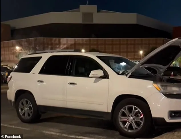 Groundhog Causes $4,900 in Damage to Student's SUV, Leaving Family and Insurance Provider Baffled