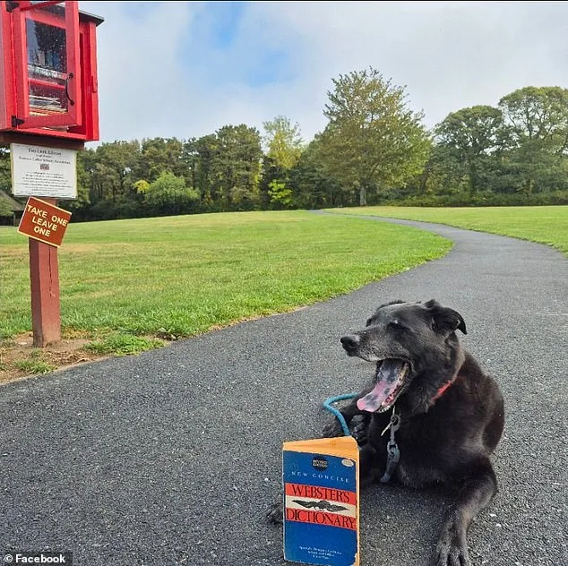 Tragic Ice Fall Claims Lives of Beloved Cape Cod Couple in Desperate Rescue Attempt