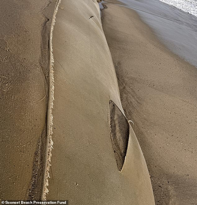 Desperate Bid for Answers: Nantucket Offers $10K Reward After Sabotage of Erosion Barriers Threatens Oceanfront Homes