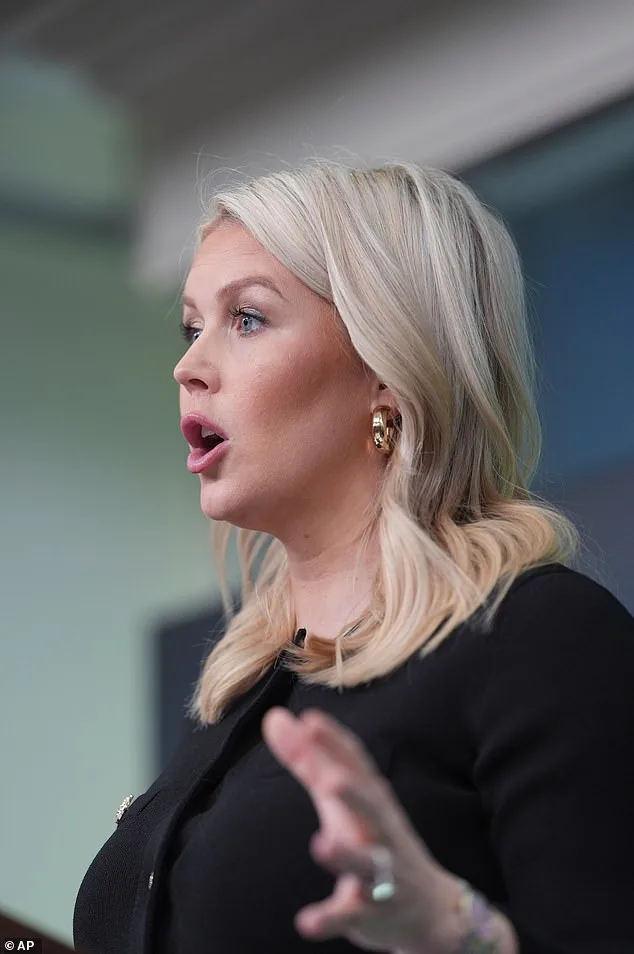 Republican Strategist Leavitt Accuses Democrats of Fostering Environment Behind Failed Trump Assassination Attempt