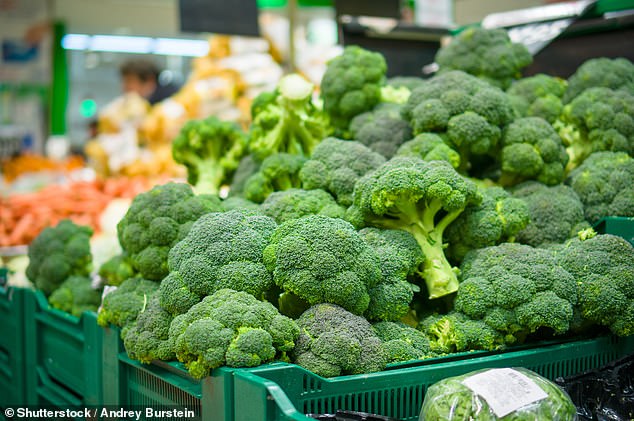 Broccoli: Beyond the Plate—A Nutritional Powerhouse with a Rich History