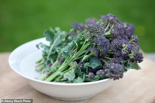 Broccoli: Beyond the Plate—A Nutritional Powerhouse with a Rich History