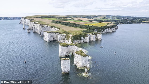 Father's Reckless Decision Ignites Outrage as Coastguards Warn of Deadly Chalk Ridge Path at Old Harry Rocks