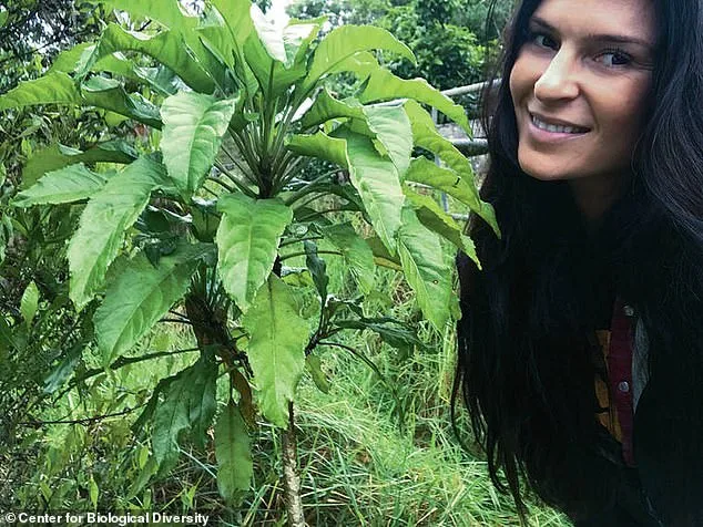 Hawaii Locals and Environmental Groups Sue Planning Department Over Hotel Project Alleged to Harm Ecosystem and Cultural Heritage