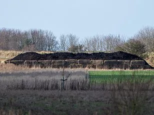 Royal Ruckus: Waitrose Drivers 'Draw Straws' to Deliver to Andrew Mountbatten-Windsor's Sandringham Home