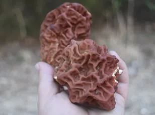 ALS: New Study Suggests Early Rising and Exercise May Lower Risk, Amid Tragedy of Eric Dane's Passing