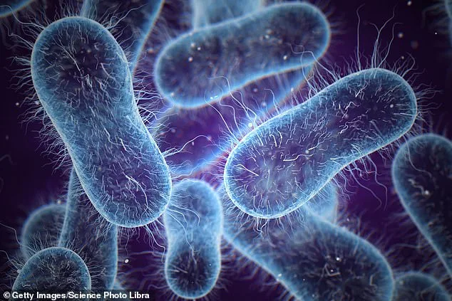 Deadly Illness Resurges: Antibiotic-Resistant Typhoid Threatens Global Health