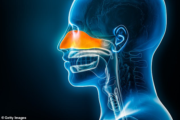 The Gradual Loss of Smell: Alison's Journey to Anosmia and Altered Taste