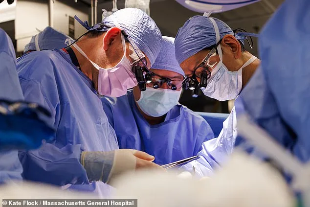 From Desperation to Innovation: The Genetically Modified Pig Kidney Transplant Offers New Hope for Patients Like Tim Andrews