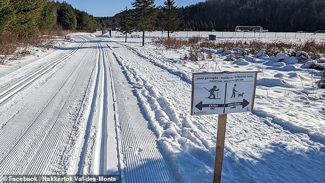 Four-Year-Old Dies in Freak Sledding Accident at Ontario Park