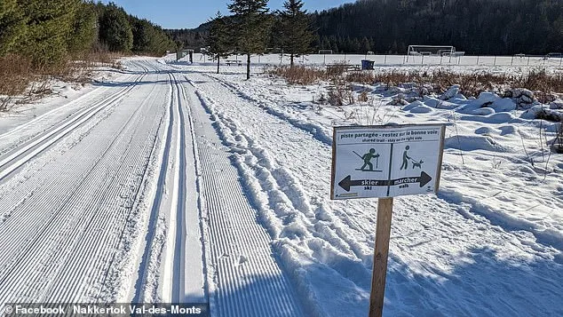 Four-Year-Old Dies in Freak Sledding Accident at Ontario Park