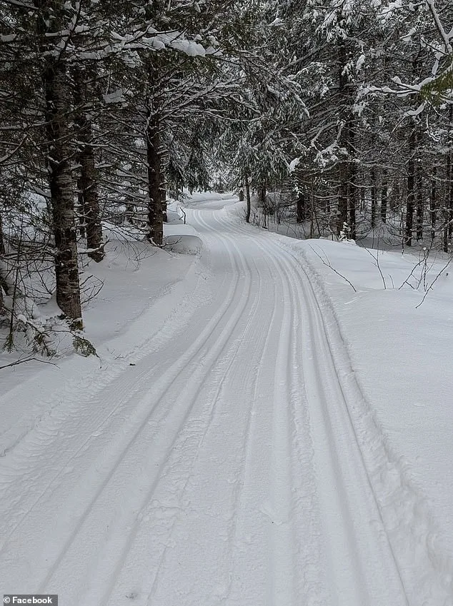 Four-Year-Old Dies in Freak Sledding Accident at Ontario Park